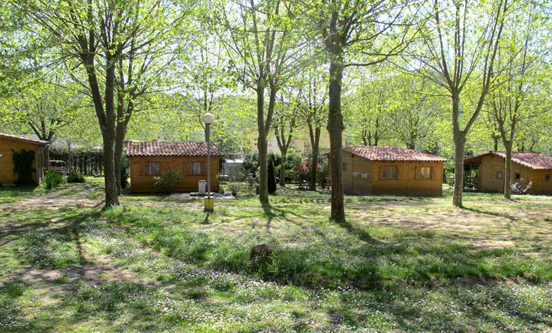 Camping La Vall d'Hostoles — photo 3