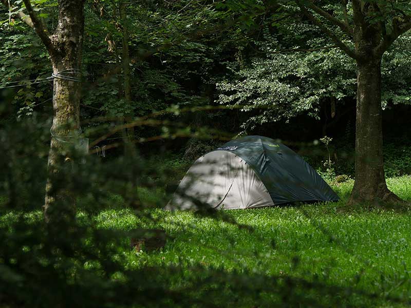 Camping La Vall d'Hostoles — photo 2